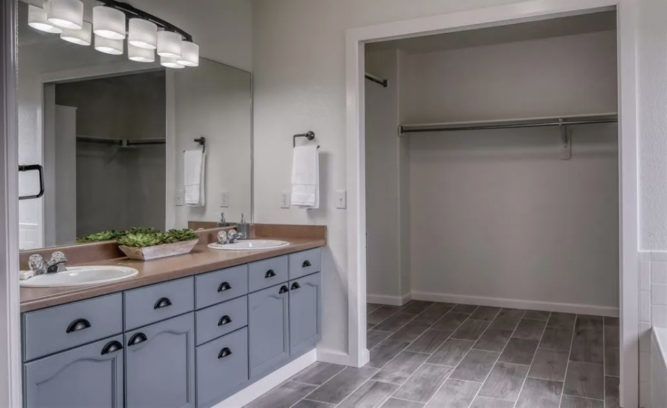 Master bathroom renovation