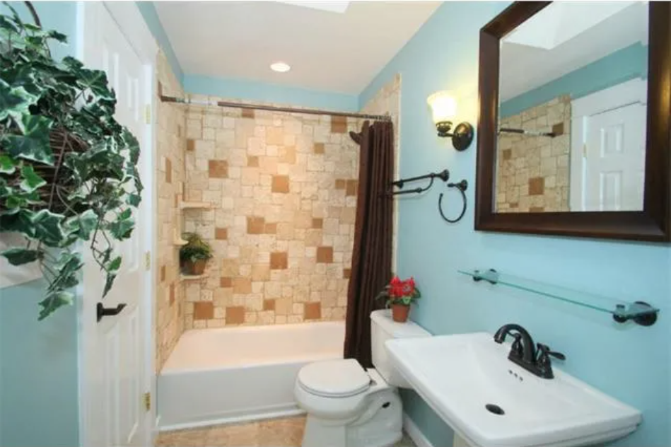 Master bathroom renovation